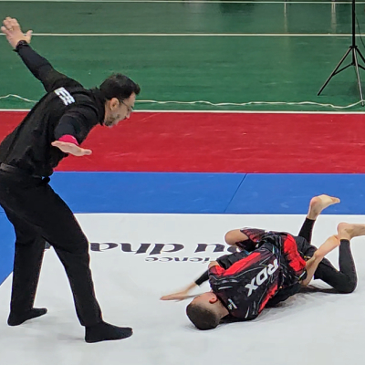 Mark wins the match by submission